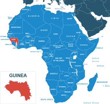 Parcel delivery to Guinea