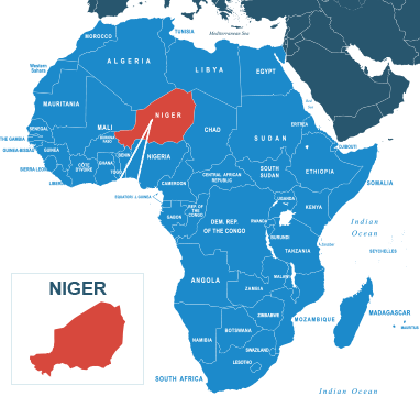 Parcel delivery to Niger