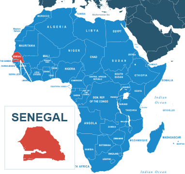 Image result for senegal!