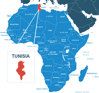 Parcel delivery to Tunisia