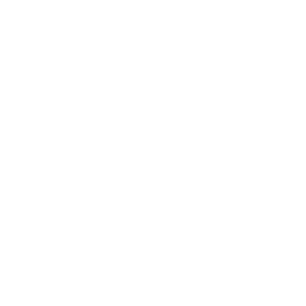 Next day delivery icon