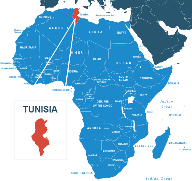 Parcel delivery to Tunisia